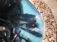 -姜君·千岛湖鱼头馆(浦东大道店)