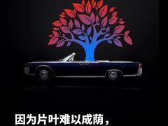 -车水马龙3M汽车贴膜冠军店隐形车衣改色膜(漕宝路中环店)
