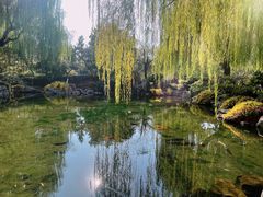 -趵突泉景区