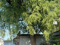 -于家石头村景区