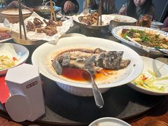 -鸽子侯·家宴·平价海鲜(绿地店)