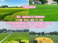 -老鼎万春卤菜(五代传承创始老店)