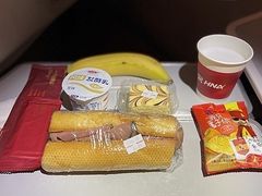 -海南海航航空信息系统公司