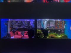 -三旗百汇商品城