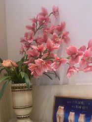 -天津伊美尔医疗整形美容专科医院