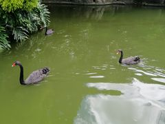 -昆明动物园