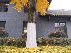 -四川大学(华西校区)