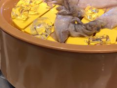 -龍歌自助小火锅(兰山上海路万达店)