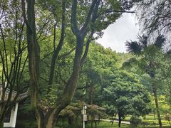 -上海佘山国家森林公园天马山园