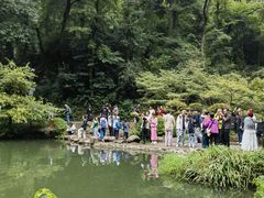 -岳麓山风景名胜区