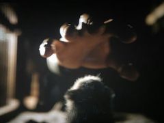 -中影国际影城(东方新天地CINITY店)