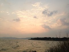 -上海市保健医疗中心(华东疗养院)