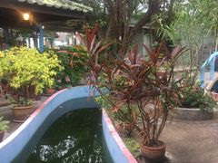 -Raya Father Restaurant