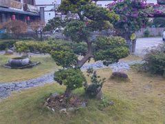 -雁荡山风景名胜区