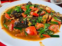 -生态苑农庄(十里画廊遇龙河店)