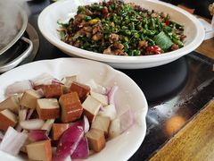 -铁山坪森林公园