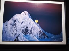 -罗红摄影艺术馆