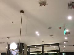 -刘胖子家常菜·蹄花焖藕(中南店)