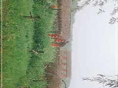 -长兴太湖图影湿地文化园