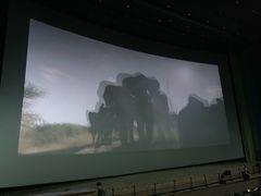 -天幕新彩云国际影城(激光巨幕店)