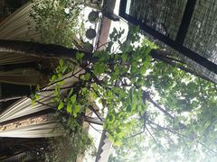 android_upload_pic-里外院(宽窄巷子景区店)