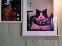 -后院儿·精酿·塔罗Happy Bar