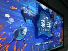 -映月湖中央公园