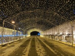 -长春世界雕塑园