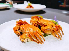 -福玺荟(外滩罗斯福店)