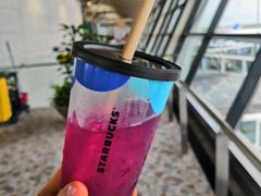 石榴仲夏夜-星巴克(浦东机场T2到达店)