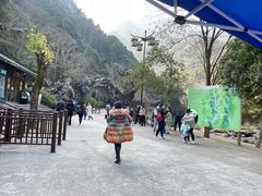 -龙湾潭国家森林公园