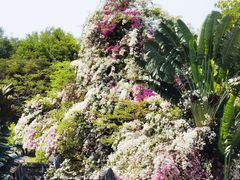 -深圳国际园林花卉博览园