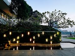 -白天鹅宾馆·流浮阁咖啡厅