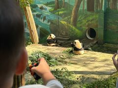 -中国大熊猫保护研究中心雅安碧峰峡基地