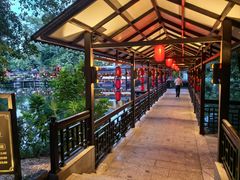 -侨美·唐荔园·40年地道粤菜