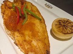 -LENBACH兰巴赫西餐啤酒坊(大连东港店)