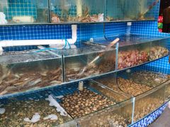 水产区-蟹谢蒸鲜自助餐厅