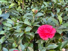 -徐家汇源景区-衡山公园