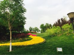 iphone_upload_pic-大望京儿童游乐场