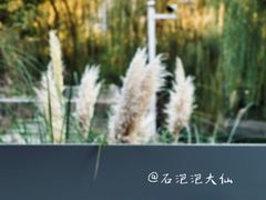 -ROCHO(仁恒江湾城店)