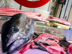 -大起水产回转寿司(道顿堀店)