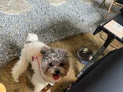 -J Create城市露营咖啡·简餐·宠物(上海动物园店)