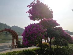 -顺峰山公园