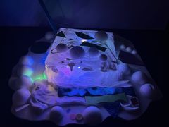 -杨梅红艺术教育(西安高新唐延教学中心)
