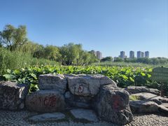 -太阳宫公园