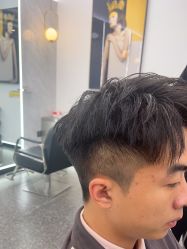 -YESIDO椰岛造型