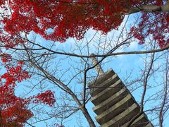-有栖山 清光院 清水寺