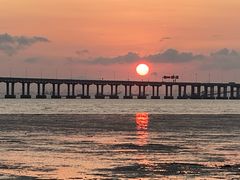 -宝安西湾红树林湿地公园