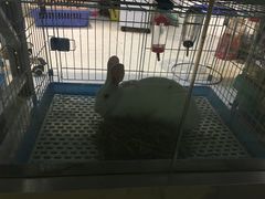 -雨林宠物医院 非犬猫异宠专科