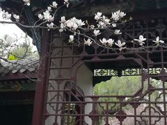 -富乐山